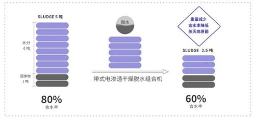 新环环保 污泥处置先进技术产品服务商，引领绿色环保新未来